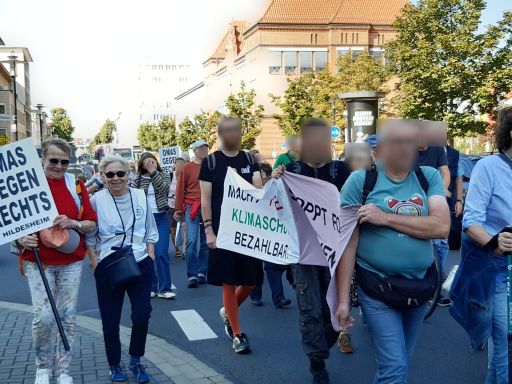 Eine Gruppe Menschen zieht bei der Klimademo durch Hildesheim. Man sieht Transparente und auch zwei Plakate der OMAs gegen Rechts.