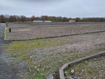 Blick über das Gelände des Lagers Buchenwald. Man blickt den Hügel hinauf über die Grundrisse der Häftlingsbaracken. Oben steht vor einer Reihe Bäume das Torgebäude.
