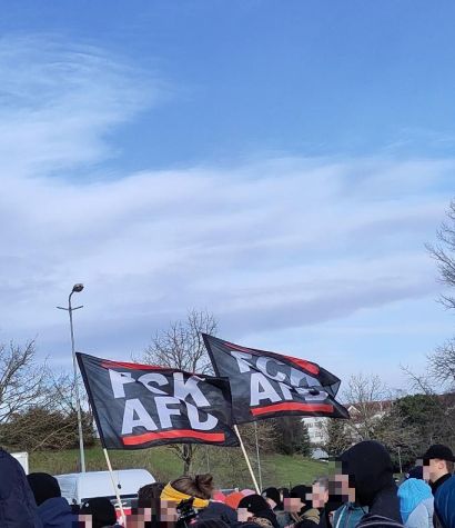 Aus der Menschenmenge ragen zwei Fahnen mit der Aufschrift "FCK AFD".