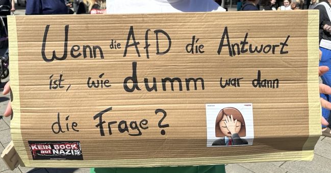 Ein Demoschild mit dem Text "Wenn die AfD die Antwort ist, wie dumm war dann die Frage?"