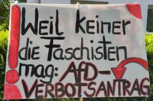 Demoschild: "Weil keiner die Faschisten mag: AfD-Verbotsantrag"