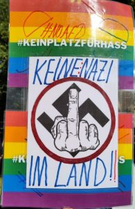Demoschild: Vor einem Hakenkreuz eine Hand mit ausgestrecktem Mittelfinger, dazu der Text "Keine Nazi im Land!". Das Ganze ist auf regenbogenfarbenem Hintergrund.