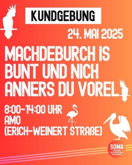 Kundgebung 24. Mai 2025: Machdeburch is bunt und nich anners, du Vorel! 8 bis 14 Uhr am AMO, Erich-Weinert-Straße, Magdeburg