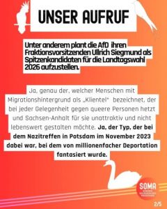 "Unter anderem plant die AfD ihren Fraktionsvorsitzenden Ullrich Siegmund als Spitzenkandidaten für die Landtagswahl 2026 aufzustellen. Ja, genau der, welcher Menschen mit Migrationshintergrund als "Klientel" bezeichnet, der bei jeder Gelegenheit gegen queere Personen hetzt und Sachsen-Anhalt für sie unattraktiv und nicht lebenswert gestalten möchte. Ja, der Typ, der bei dem Nazitreffen in Potsdam im November 2023 dabei war, bei dem von millionenfacher Deportation fantasiert wurde.